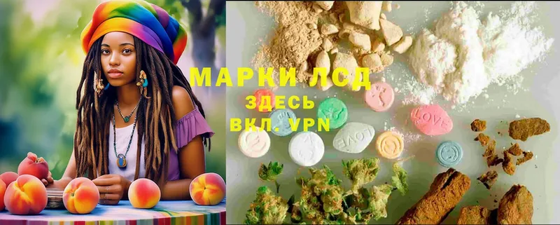 как найти закладки  Зерноград  Лсд 25 экстази ecstasy 